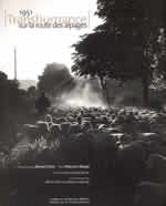 1951 TRANSHUMANCE SUR LA ROUTE DES ALPAGES