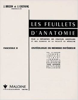 LES FEUILLETS D'ANATOMIE