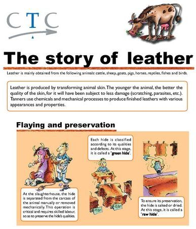 POSTER THE STORY OF LEATHER