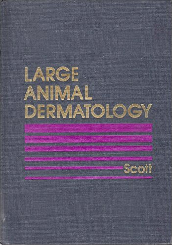 LARGE ANIMAL DERMATOLOGY