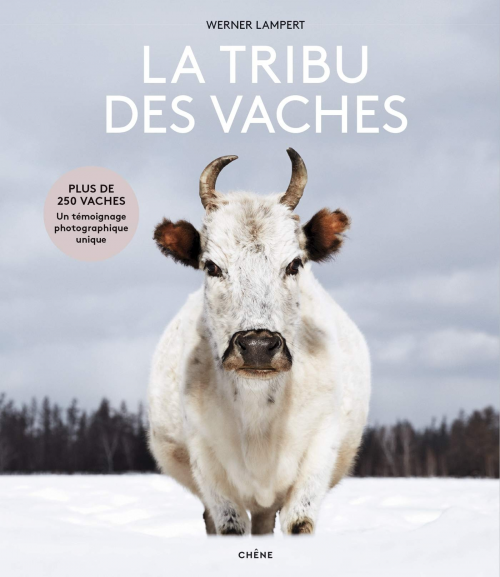 LA TRIBU DES VACHES