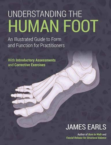 UNDERSTANDING THE HUMAN FOOT