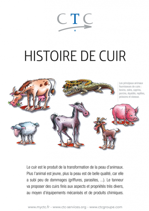 B.D. HISTOIRE DE CUIR