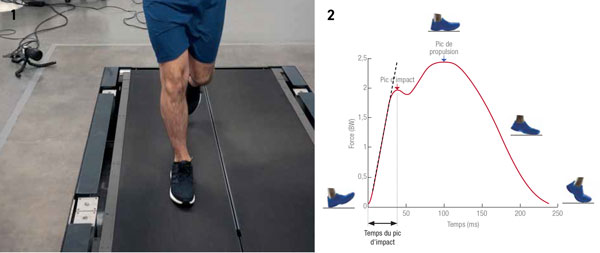 Tapis de course & Évolution de la force verticale