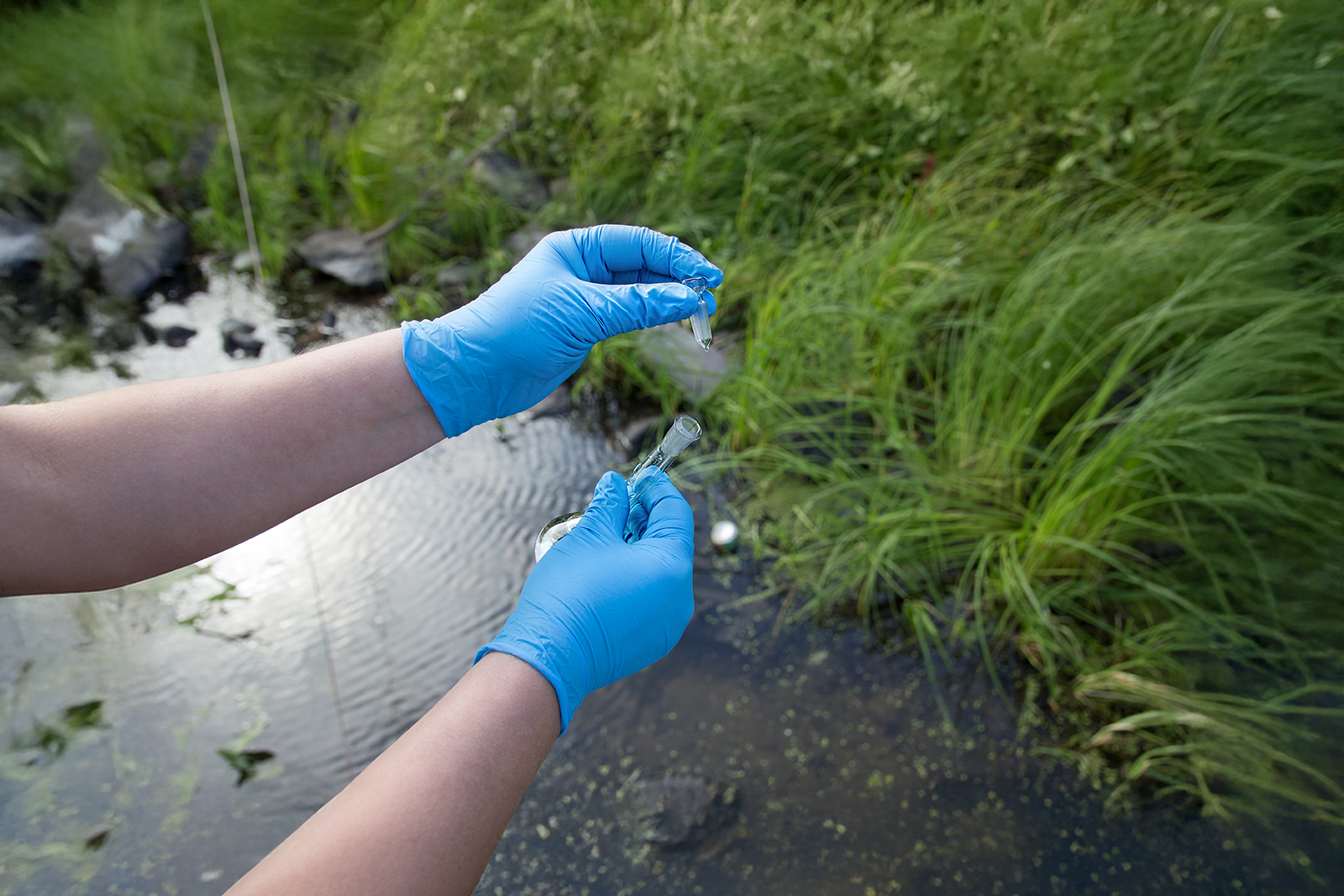Prélèvement d'eau dans une rivière par une personne portant des gants bleu
