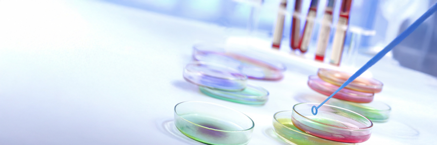 boîte de Petri en verre pour analyse microbiologique
