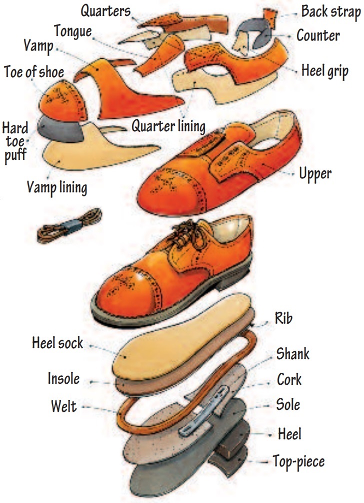 Exploded view diagram of a shoe