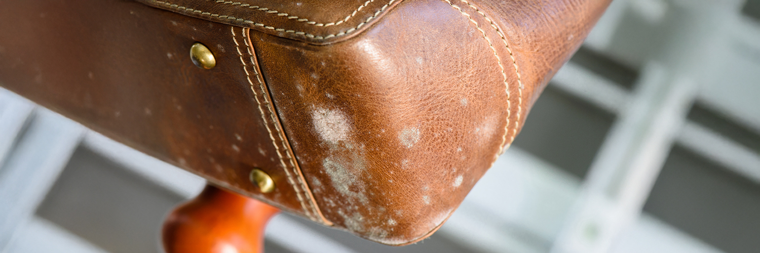Traces de moisissure sur un sac en cuir marron