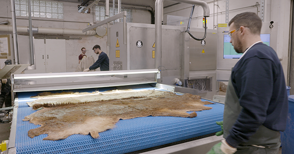 Opérateurs en tannerie