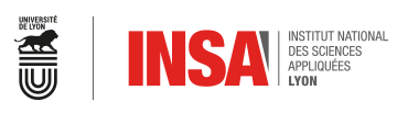 Logo INSA Lyon