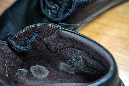 audit moisissure textile vetement chaussure