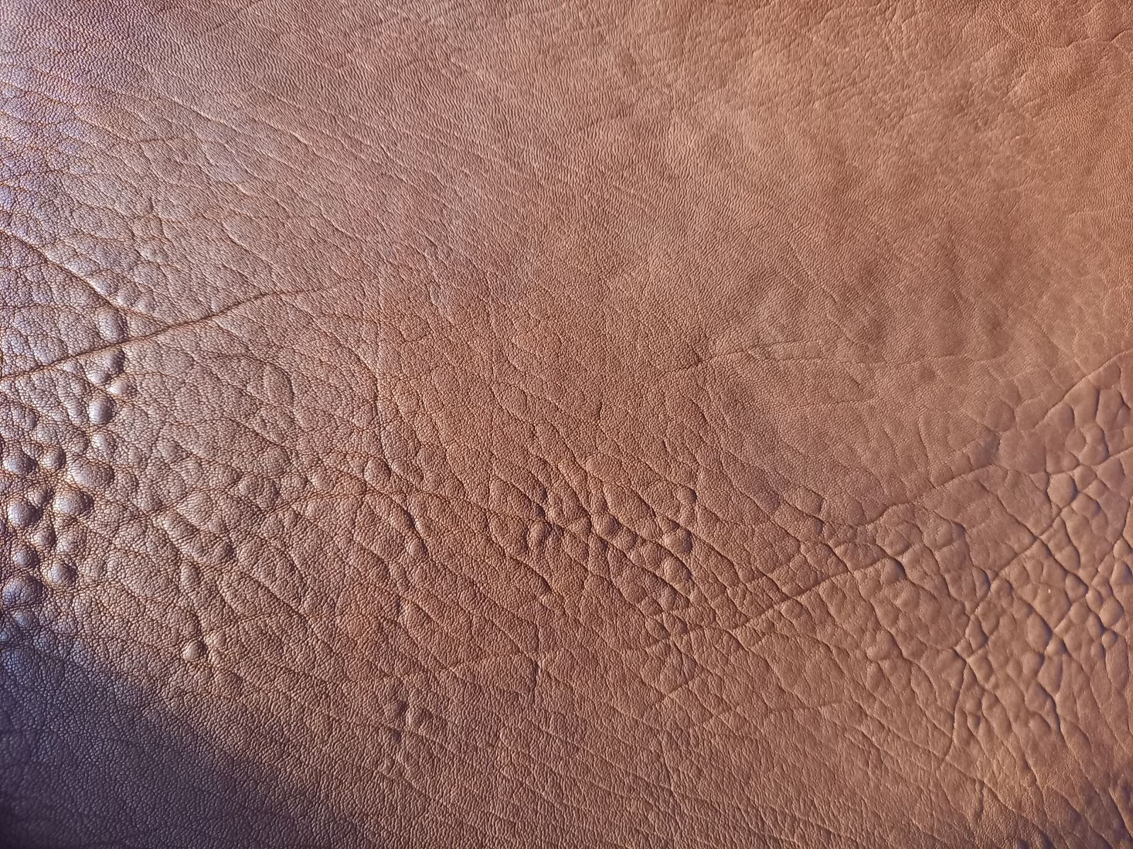 Cuir structuré à tannage végétal de Raynaud Jeune